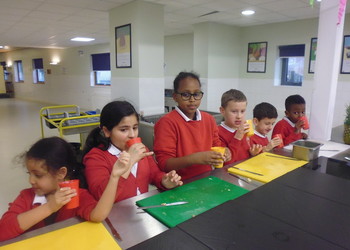 Smoothie Making Workshop