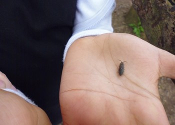 Outdoor Learning Week